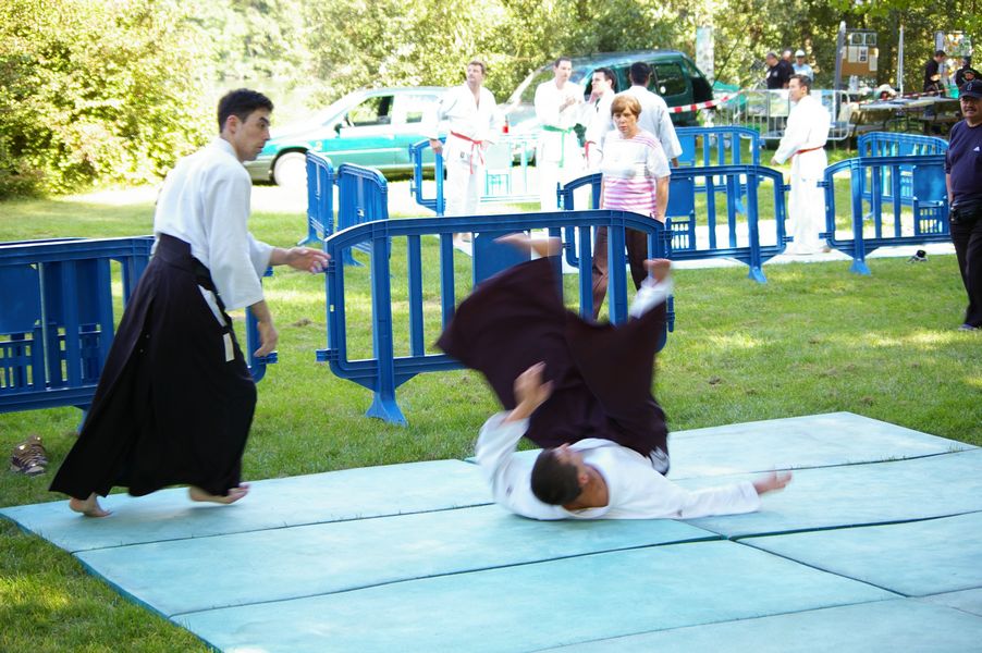 Aikido: Aikido 009